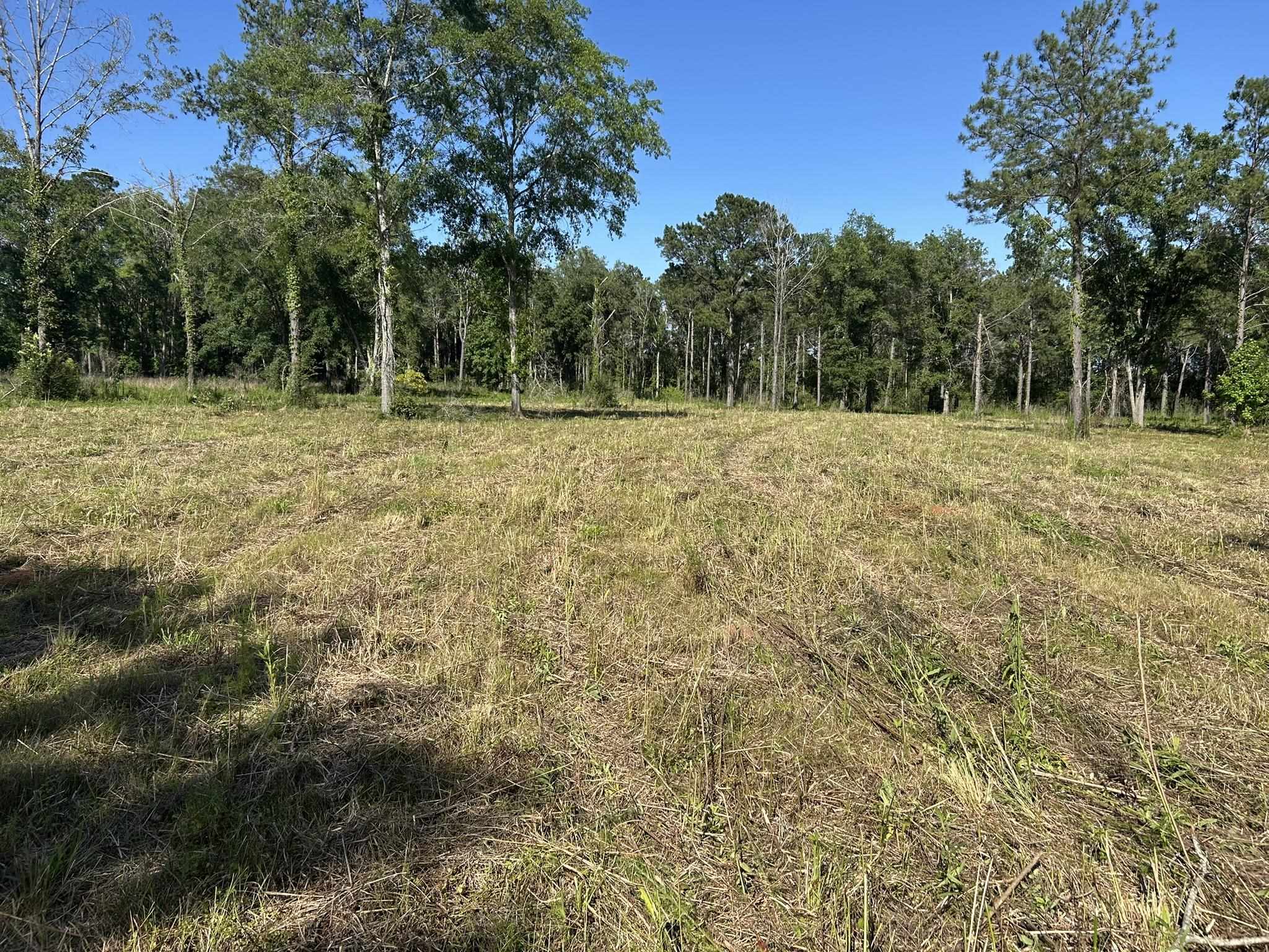 Xxx Ben Bostick Road Quincy, FL 32351 - Photo 2 of 20