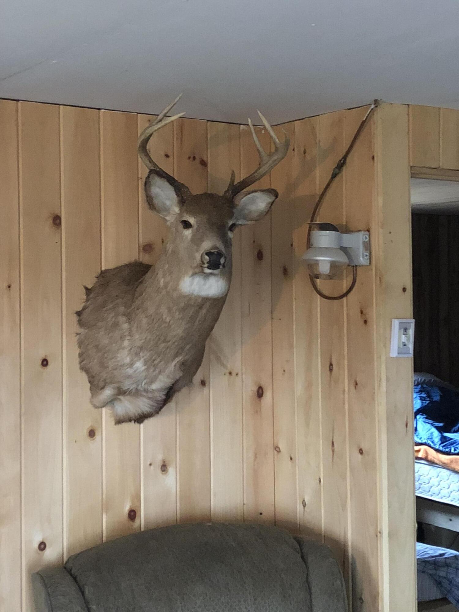 Project576 Project576 Benedicta Twp Sherman, ME 04776 - Photo 2 of 10 IMG_0388