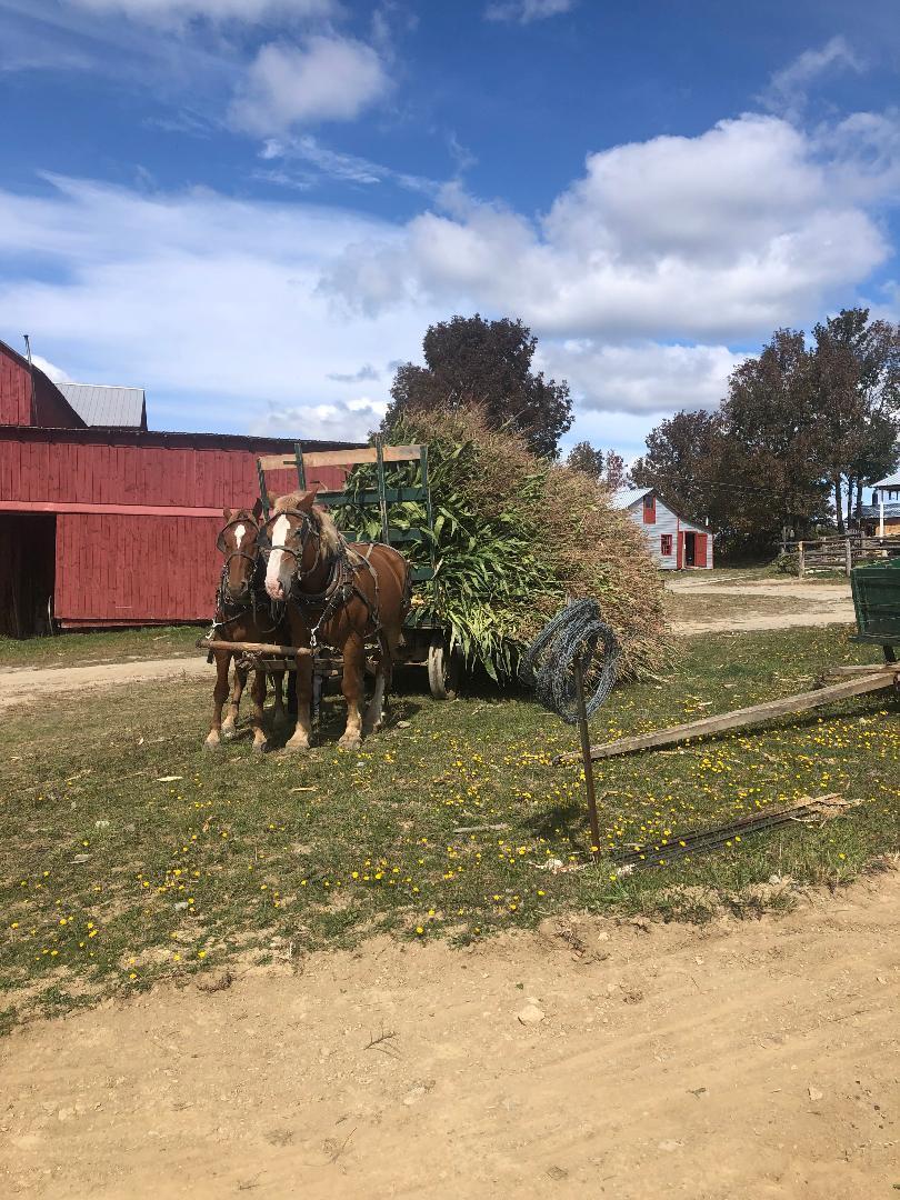 Project576 Project576 Benedicta Twp Sherman, ME 04776 - Photo 6 of 10 amish corn