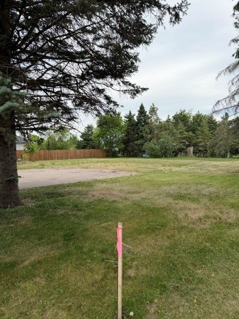 29 Bird Street Chetek, WI 54728 - Photo 2 of 4