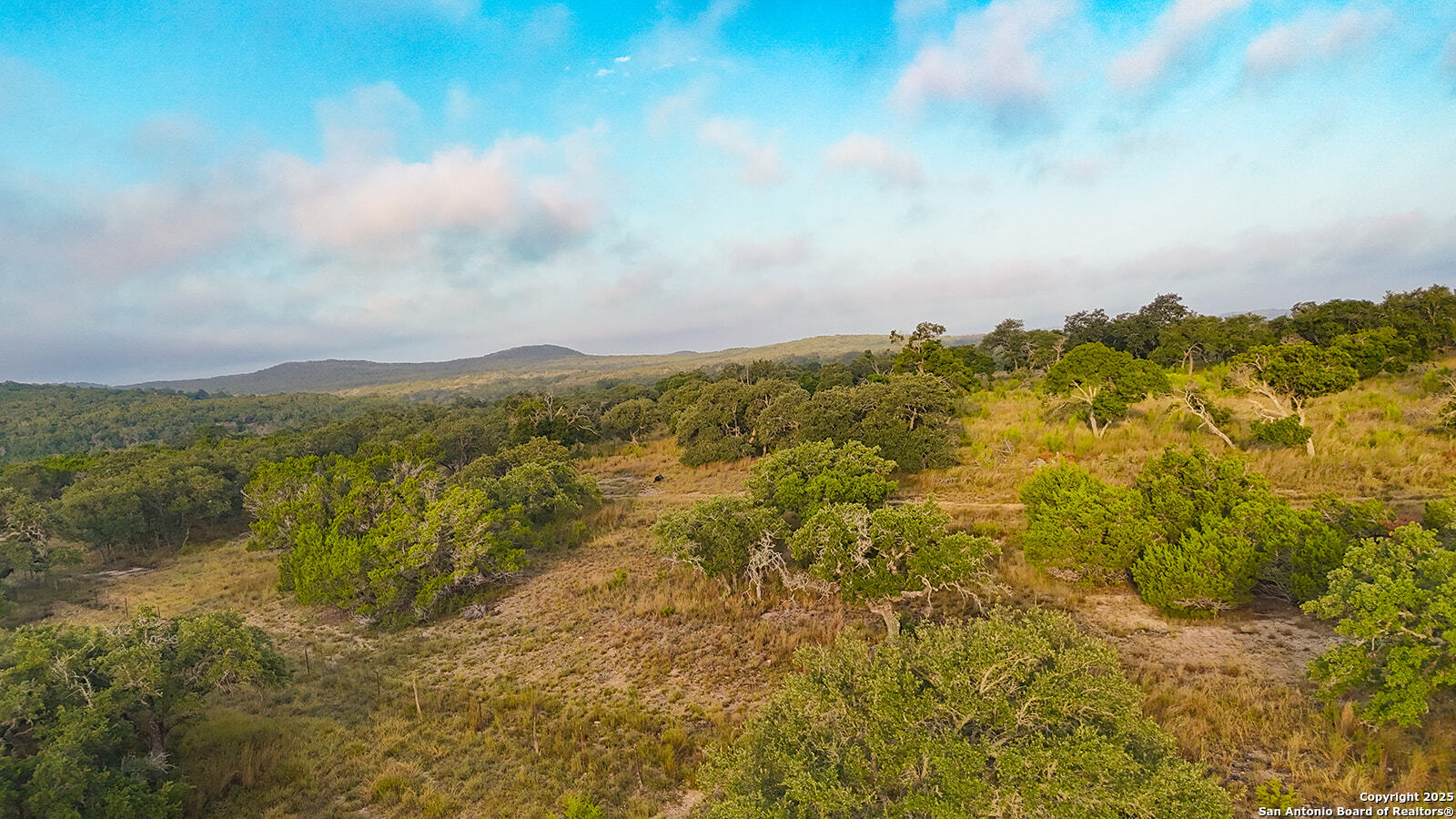 3067 Ranch Road 1888 Blanco, TX 78606 - Photo 11 of 59