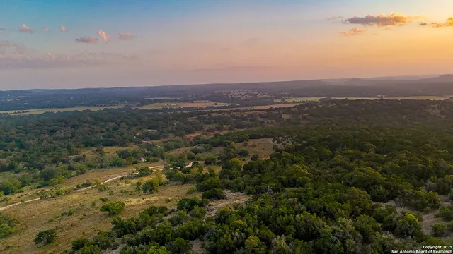 an aerial view of residential house and trees