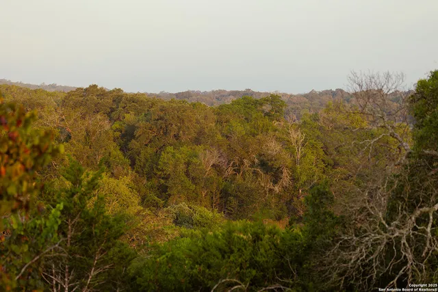 a backyard of a house with plants and tree