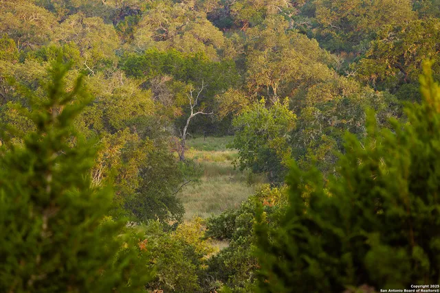 a view of lake with mountain