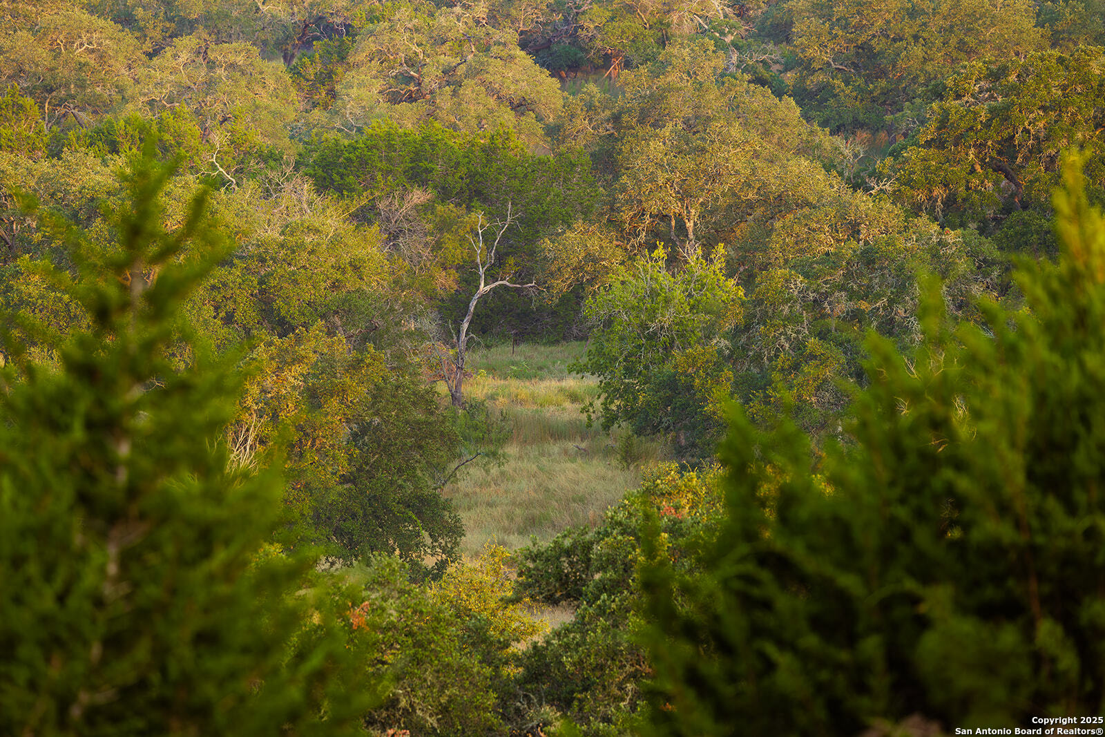 3067 Ranch Road 1888 Blanco, TX 78606 - Photo 29 of 59 a view of a yard
