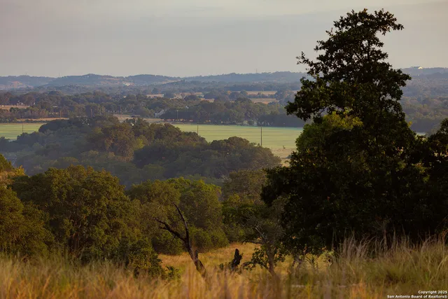 a view of yard with large trees
