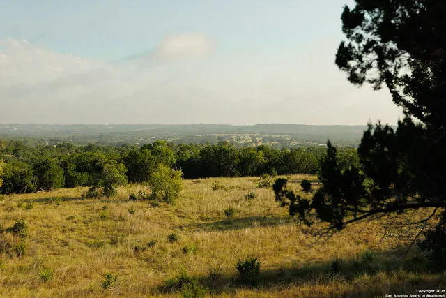 a view of a lake with a large trees
