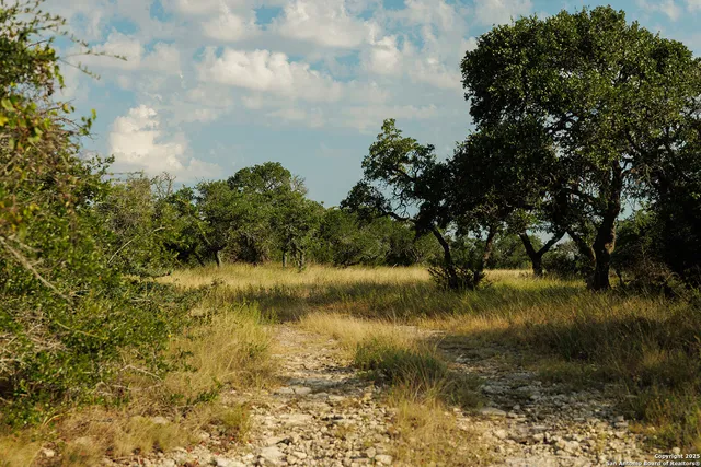 a view of a lake from a yard