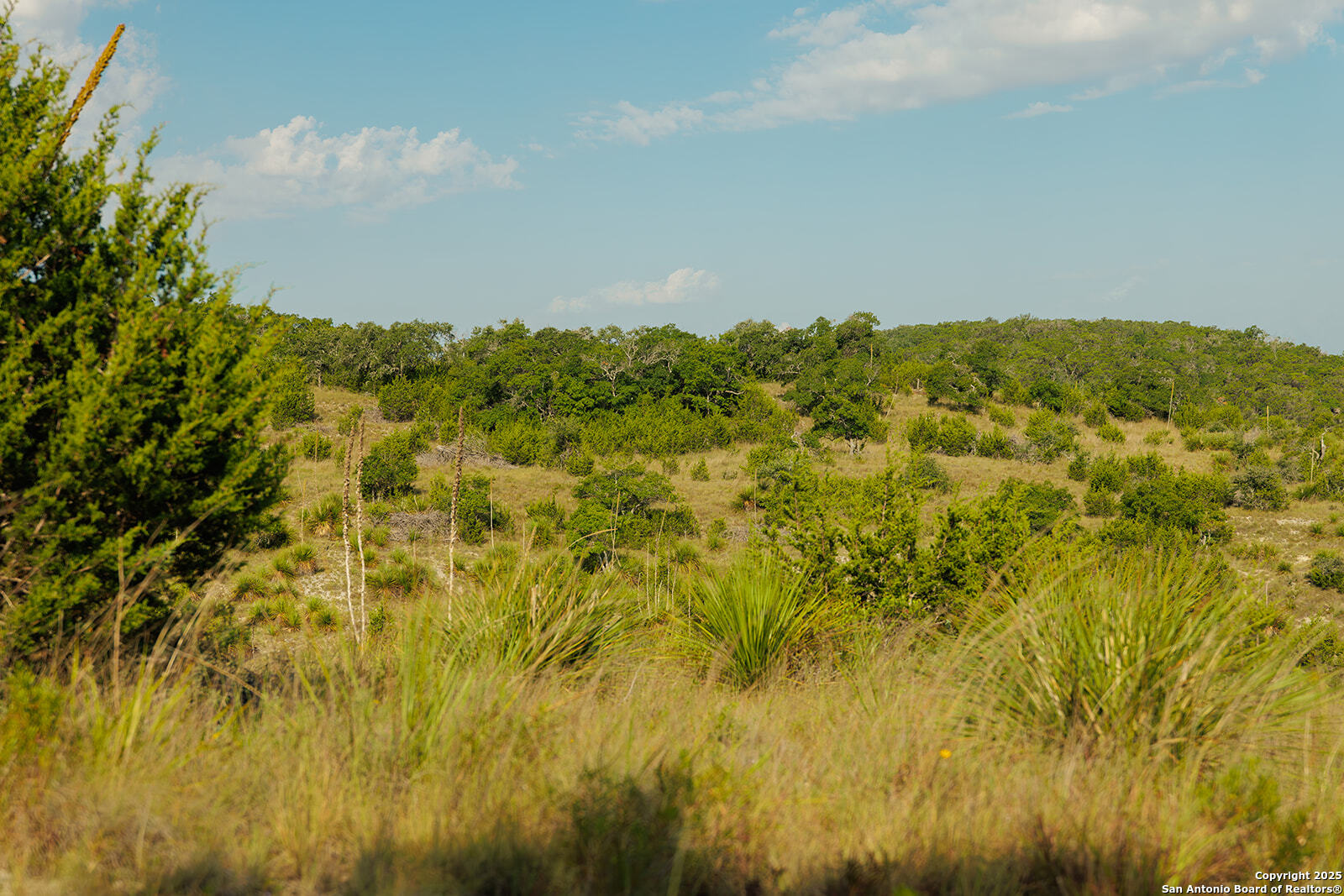 3067 Ranch Road 1888 Blanco, TX 78606 - Photo 41 of 59