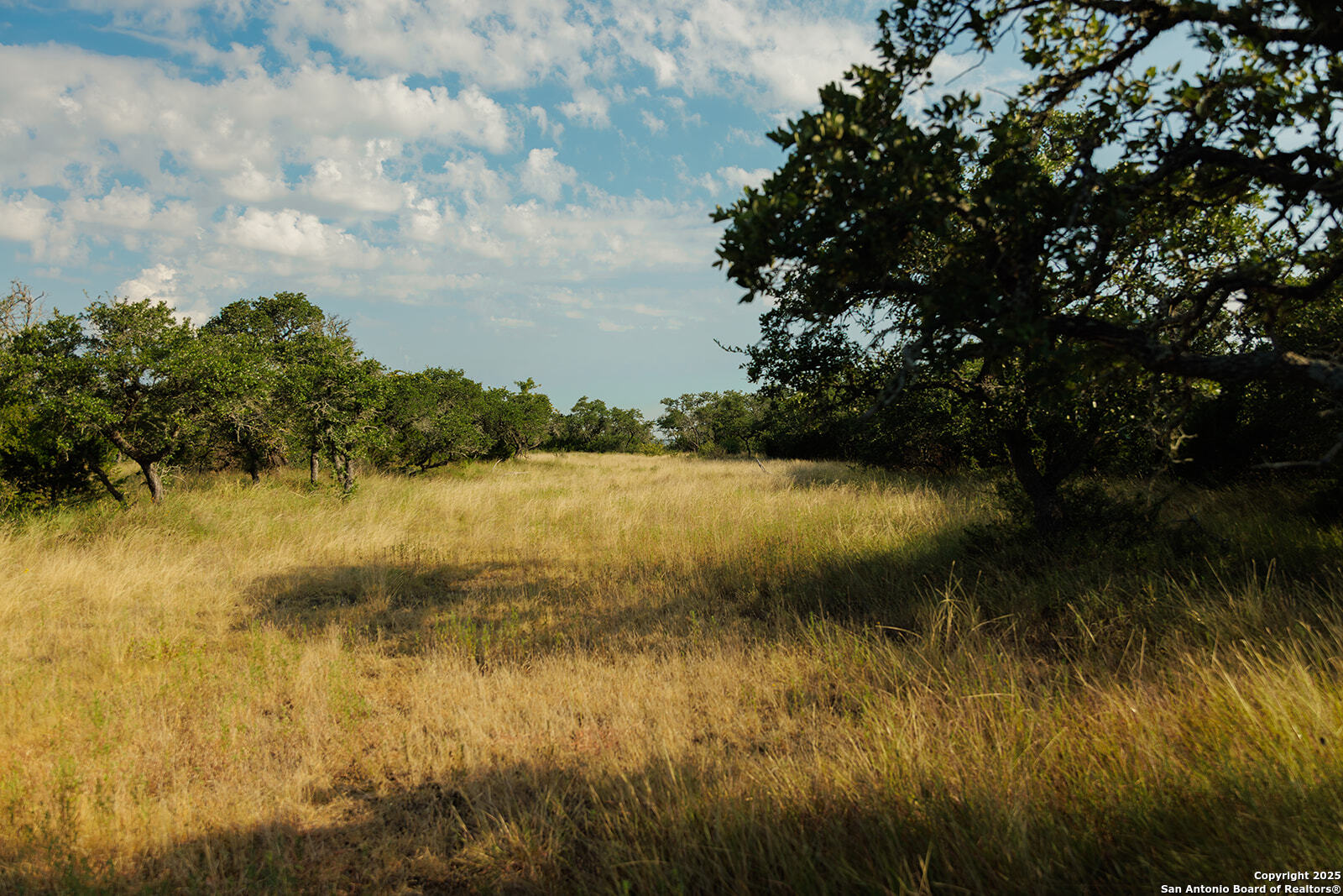 3067 Ranch Road 1888 Blanco, TX 78606 - Photo 43 of 59 a view of lake