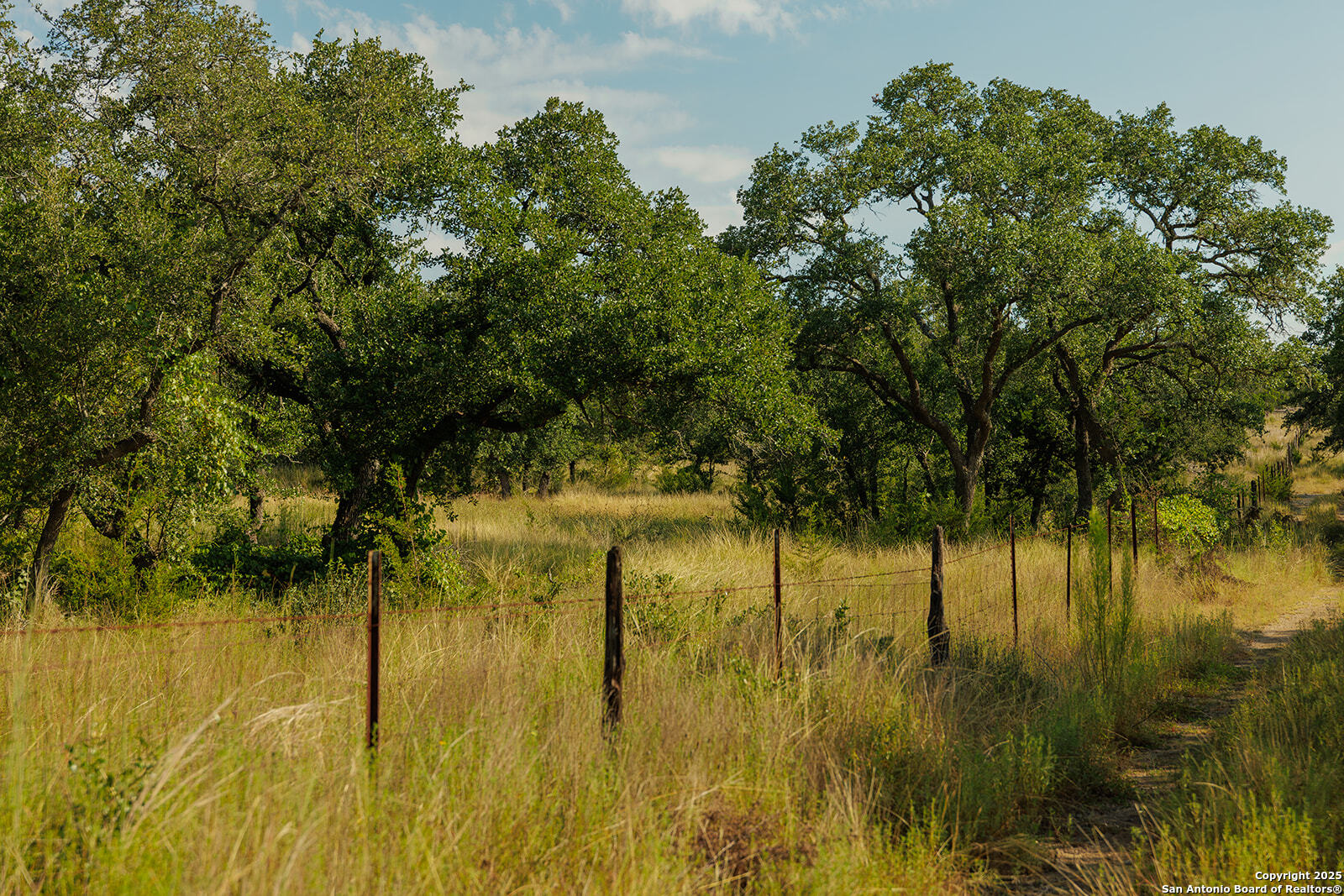 3067 Ranch Road 1888 Blanco, TX 78606 - Photo 45 of 59 a view of lake view