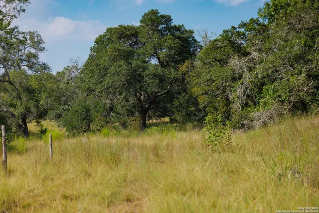 a view of a lake in between two and trees