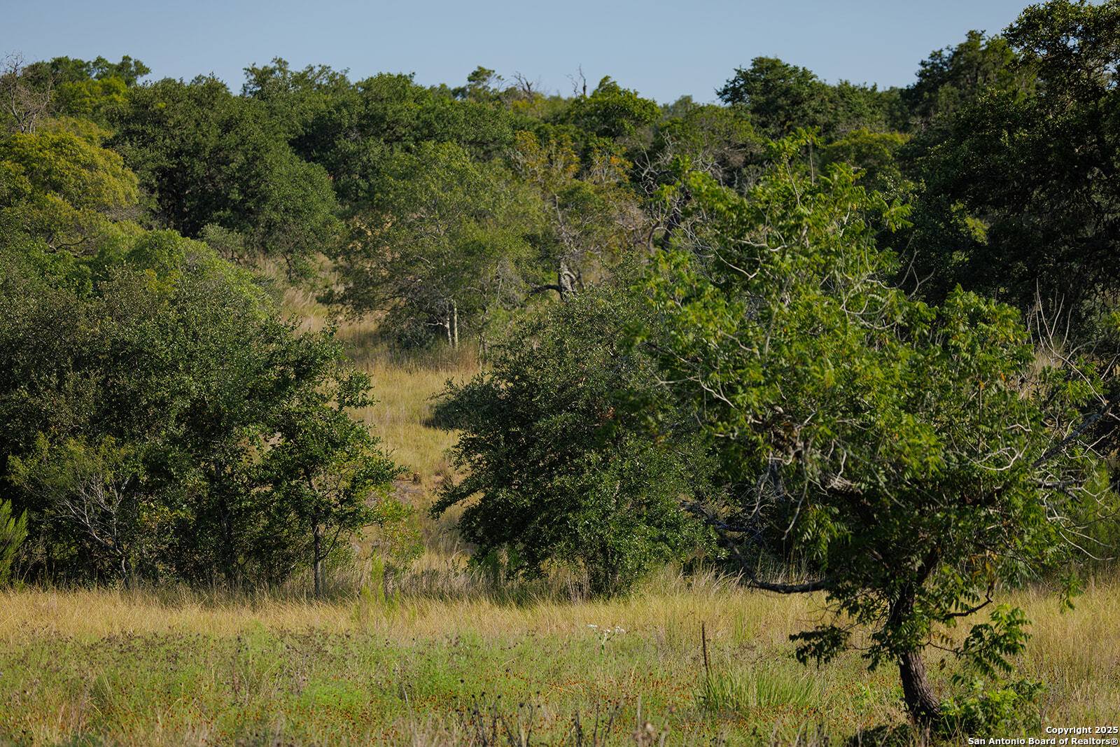 3067 Ranch Road 1888 Blanco, TX 78606 - Photo 48 of 59 a view of a lake from a yard
