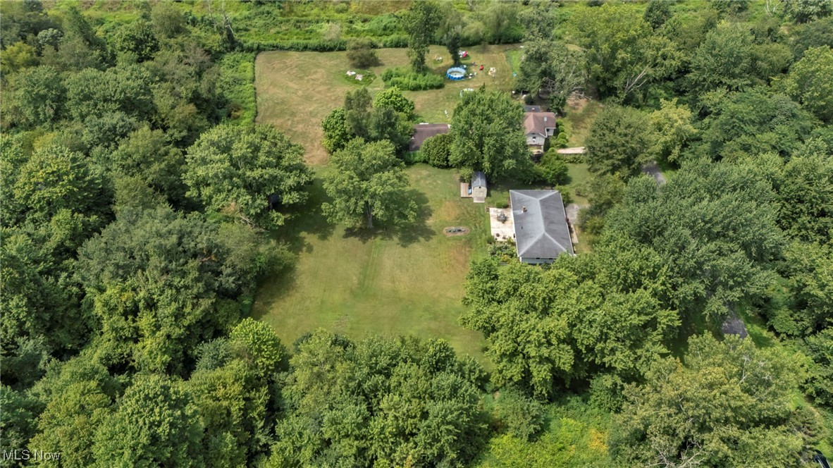 2264 Acre Road Akron, OH 44320 - Photo 47 of 47 Aerial view of a forest