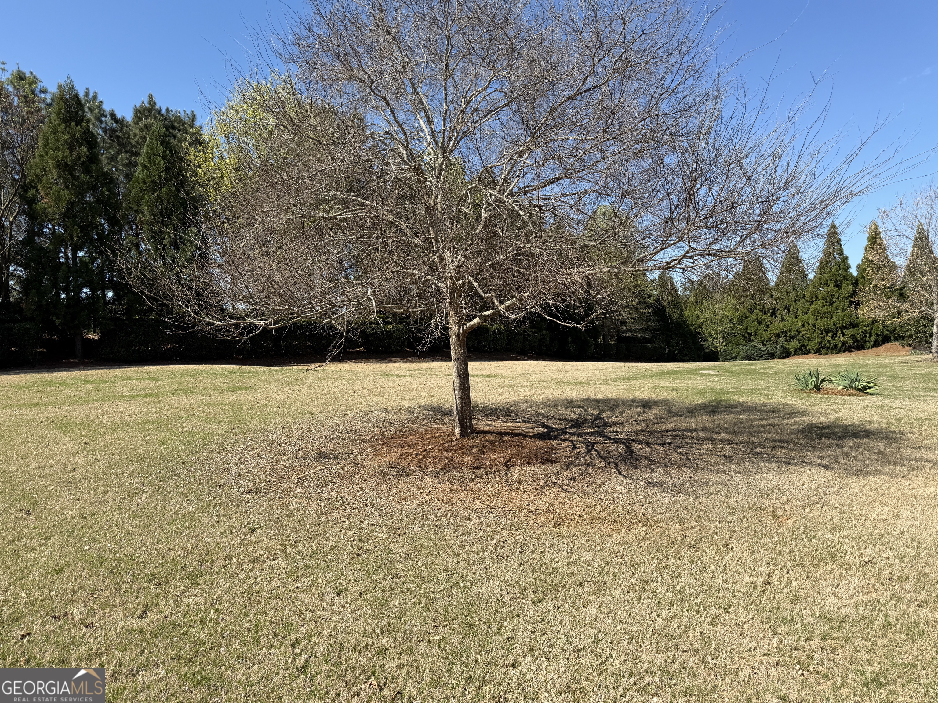 1320 Summer Hollow Road Greensboro, GA 30642 - Photo 42 of 45 a view of a swimming pool with an outdoor space