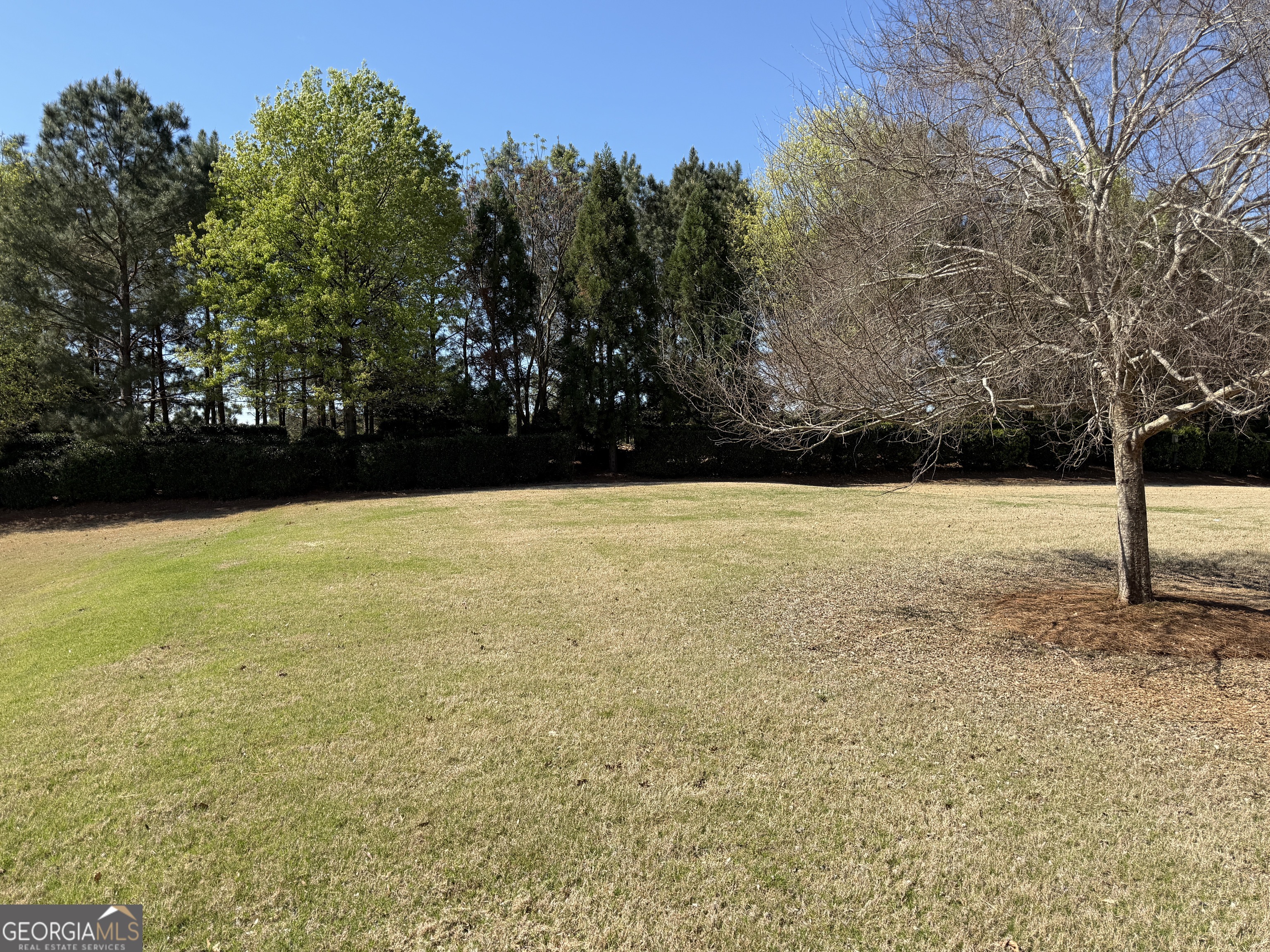 1320 Summer Hollow Road Greensboro, GA 30642 - Photo 43 of 45 a view of yard with swimming pool and trees