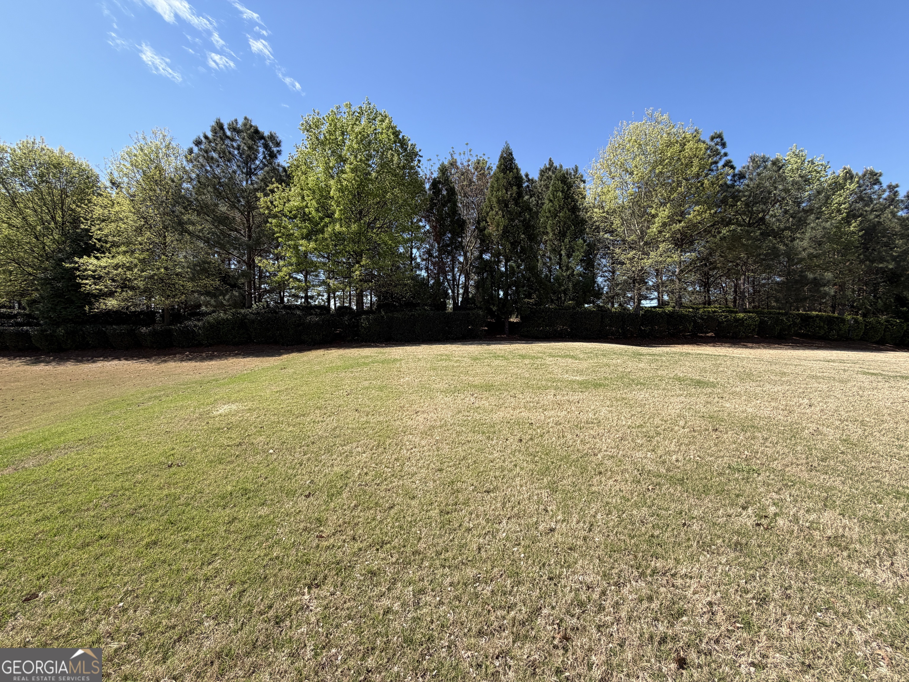 1320 Summer Hollow Road Greensboro, GA 30642 - Photo 45 of 45 a view of an ocean and trees