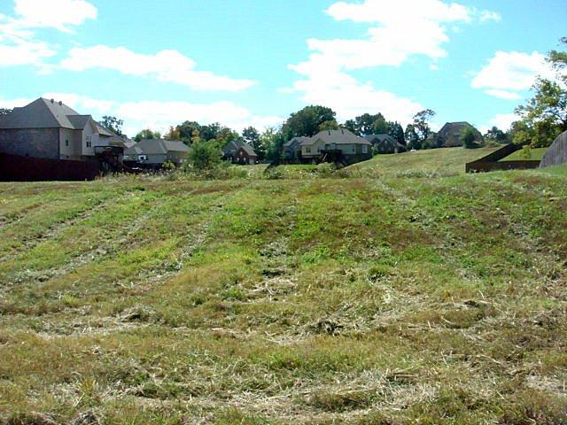 8 Drake Road Adams, TN 37010 - Photo 2 of 3