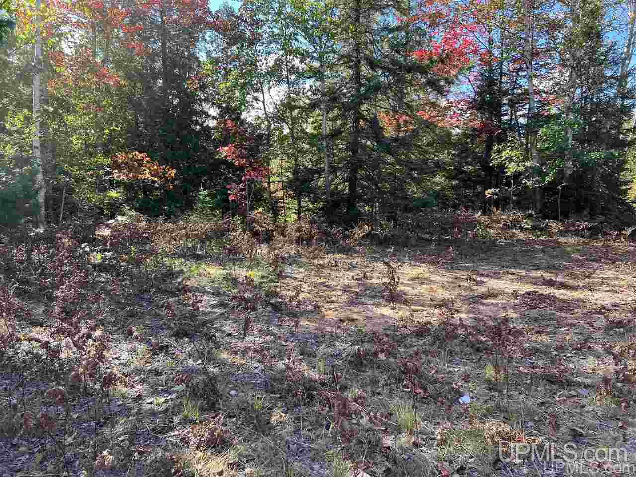 4091 Hiawatha Station Road Manistique, MI 49854 - Photo 15 of 24
