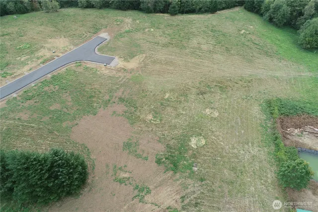 a view of a dry yard with lots of green space