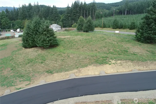a view of a garden with an outdoor space