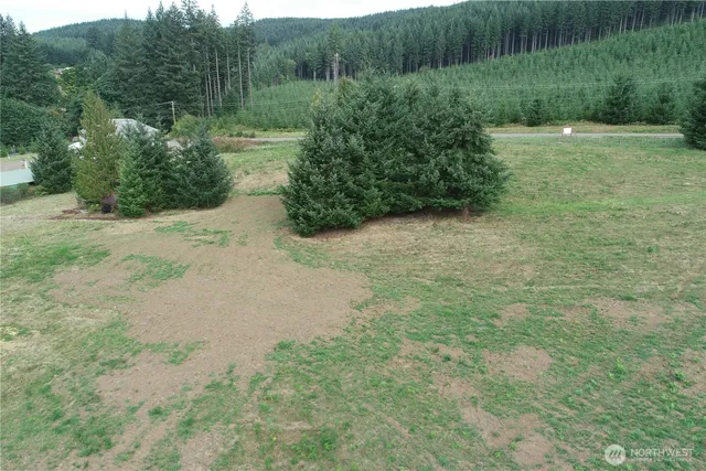 a view of a pathway with a yard