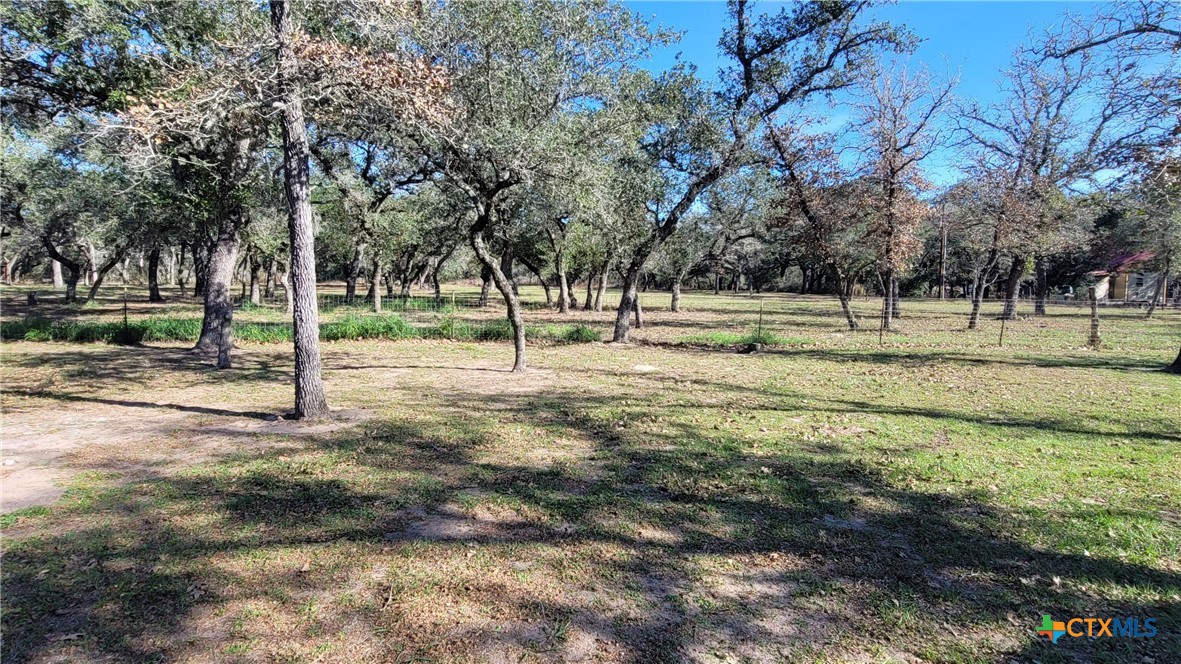 127-129 McAdams Road Goliad, TX 77963 - Photo 31 of 33 a view of a park