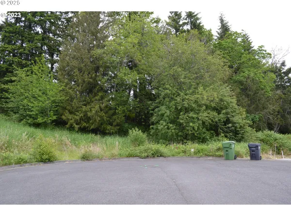 a view of a yard and a road