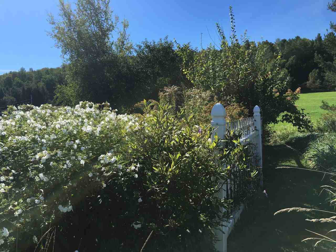 232 Mudgett Farm Road Cambridge, VT 05464 - Photo 28 of 33