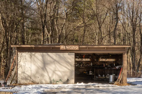 a view of a big yard with plants and large trees