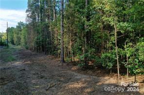 0 Union Road West Matthews, NC 28104 - Photo 3 of 5