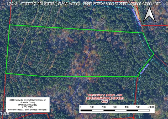 a view of a backyard with plants and large trees