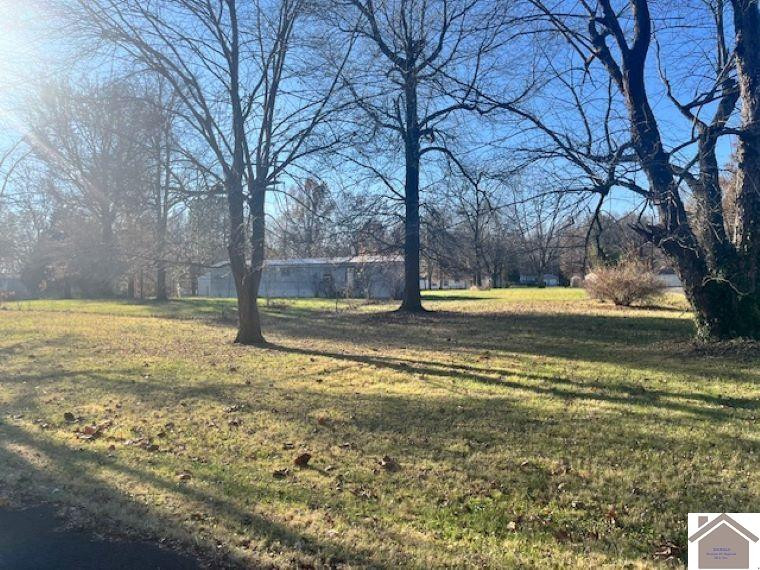 4125 Marshall Road Kevil, KY 42053 - Photo 6 of 8 Photo 6