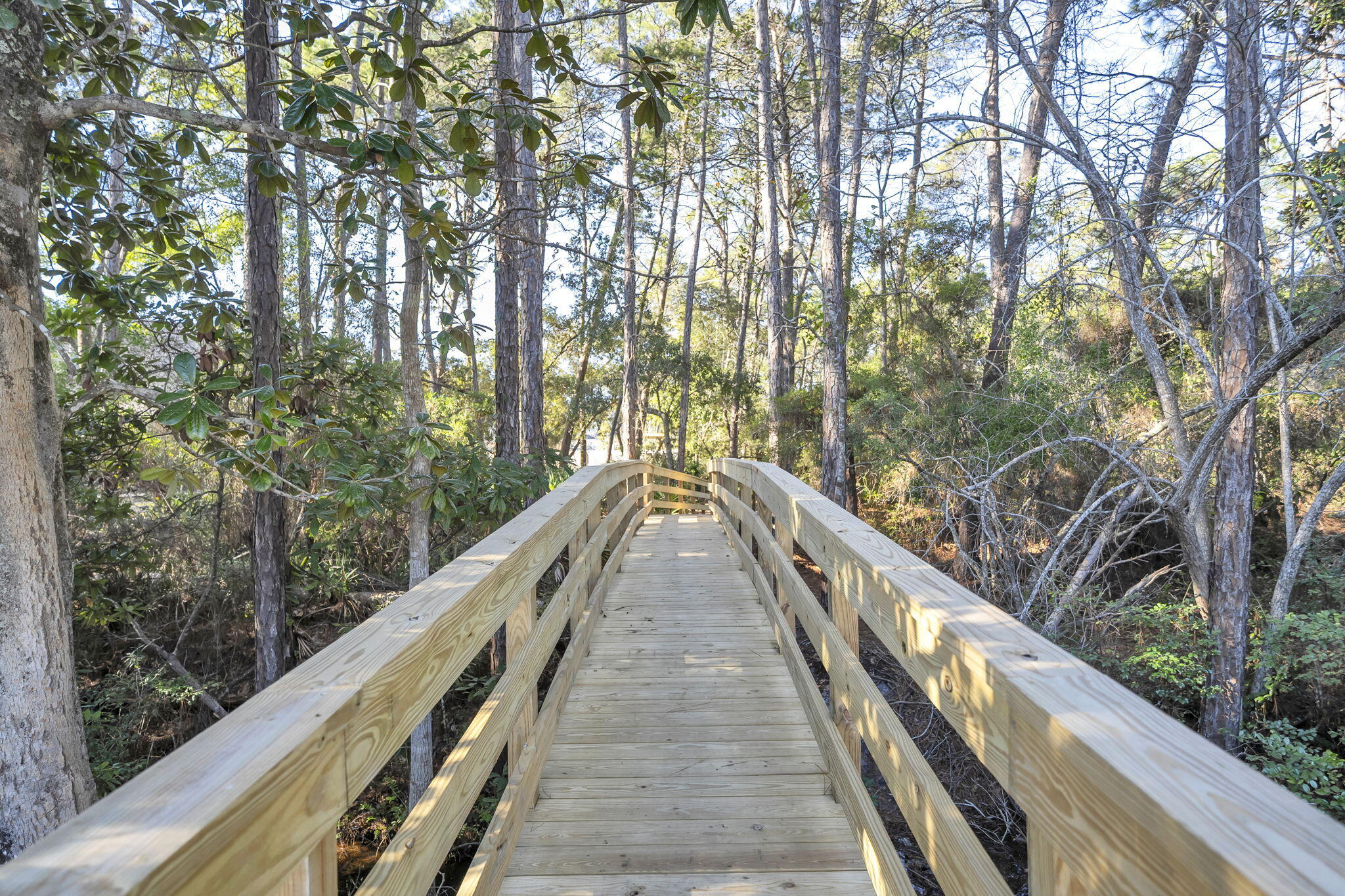 104 Bayou Manor Road Santa Rosa Beach, FL 32459 - Photo 55 of 78 58-web-or-mls-DSC04591