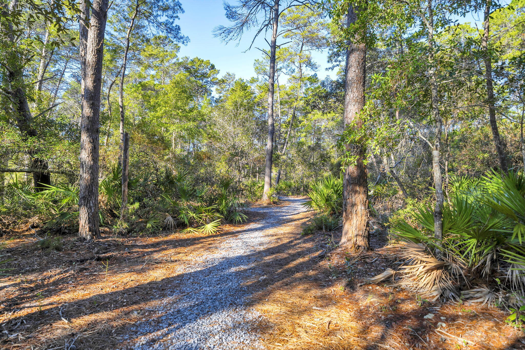 104 Bayou Manor Road Santa Rosa Beach, FL 32459 - Photo 56 of 78 59-web-or-mls-DSC04592