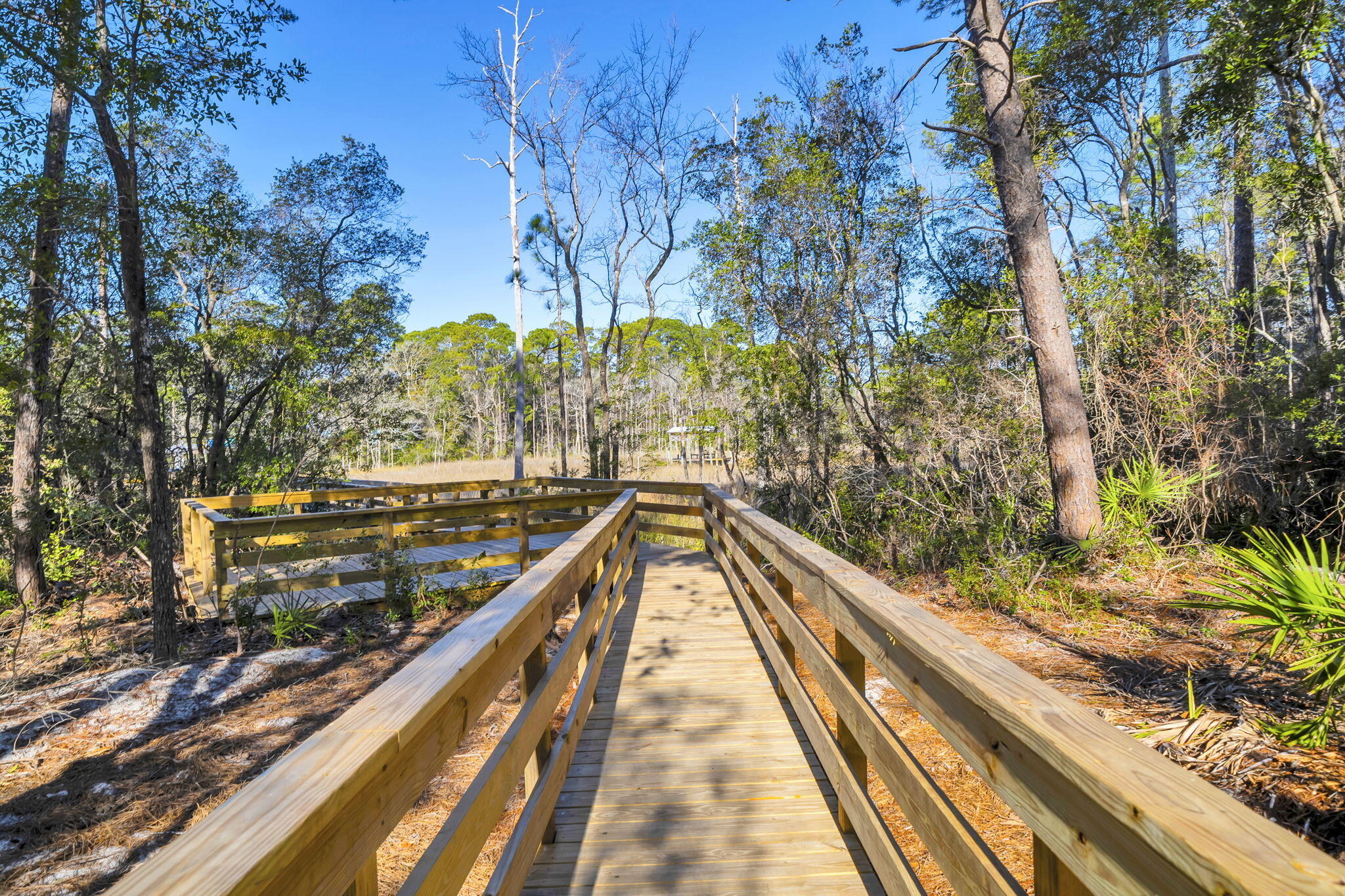 104 Bayou Manor Road Santa Rosa Beach, FL 32459 - Photo 57 of 78 60-web-or-mls-DSC04593