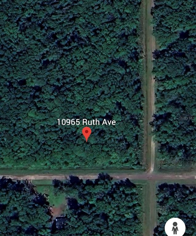 10965 Ruth Avenue Hastings, FL 32145 - Photo 12 of 12 Gallery Image 12