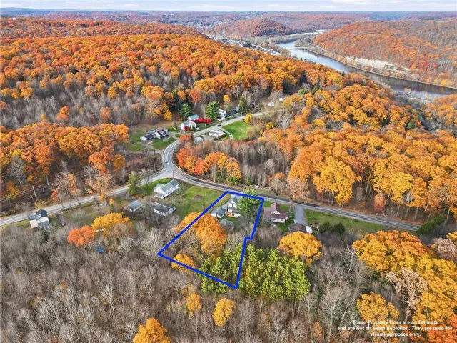 an aerial view of water body with trees in the background