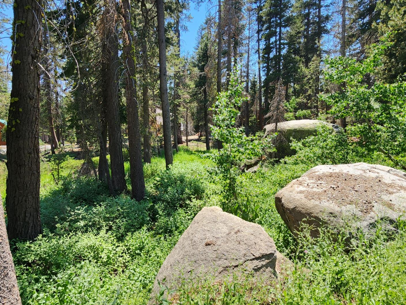 5 Monty Wolf Road Bear Valley, CA 95223 - Photo 4 of 9