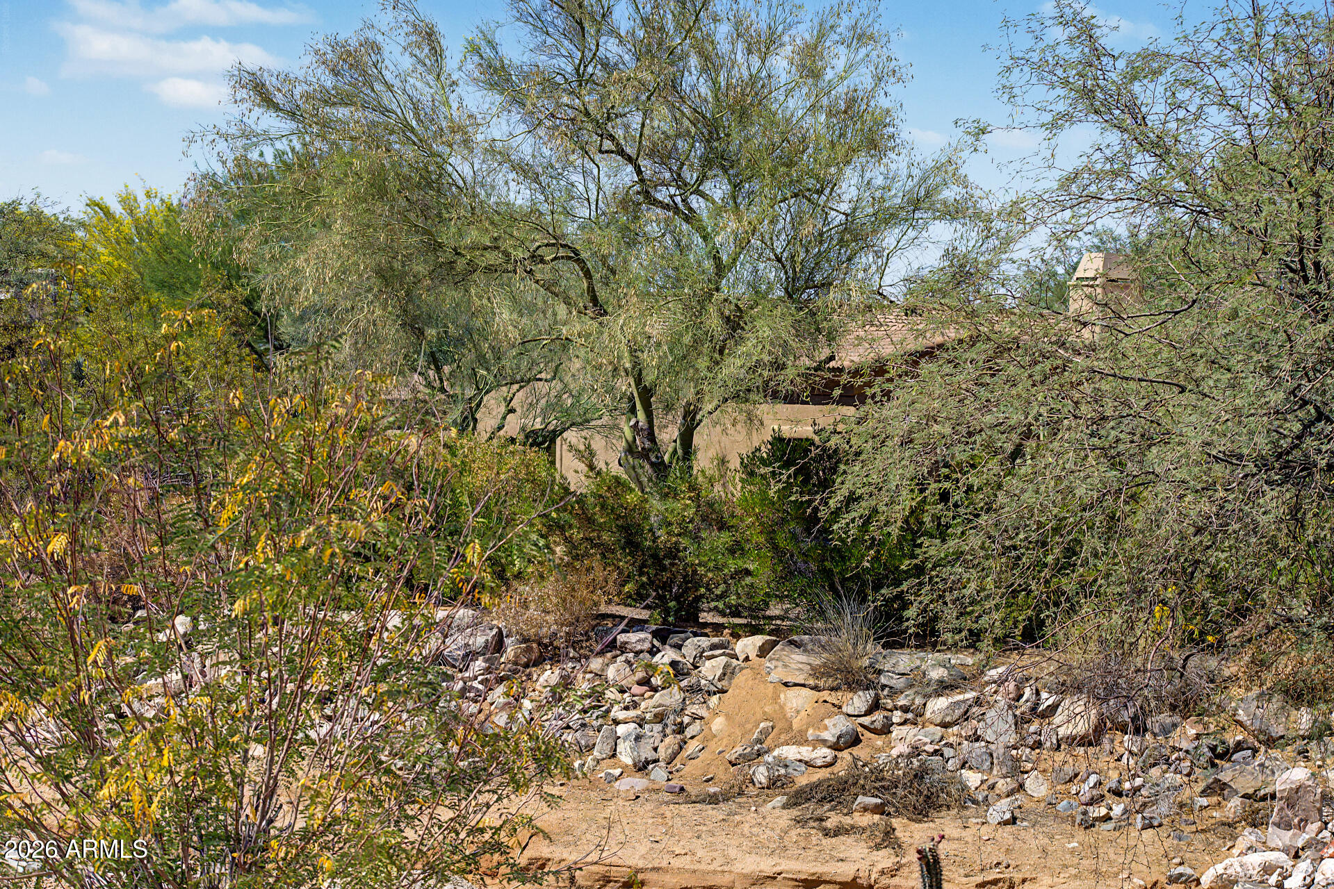 27909 North Quail Spring Road Rio Verde, AZ 85263 - Photo 39 of 52 a view of a yard with a tree