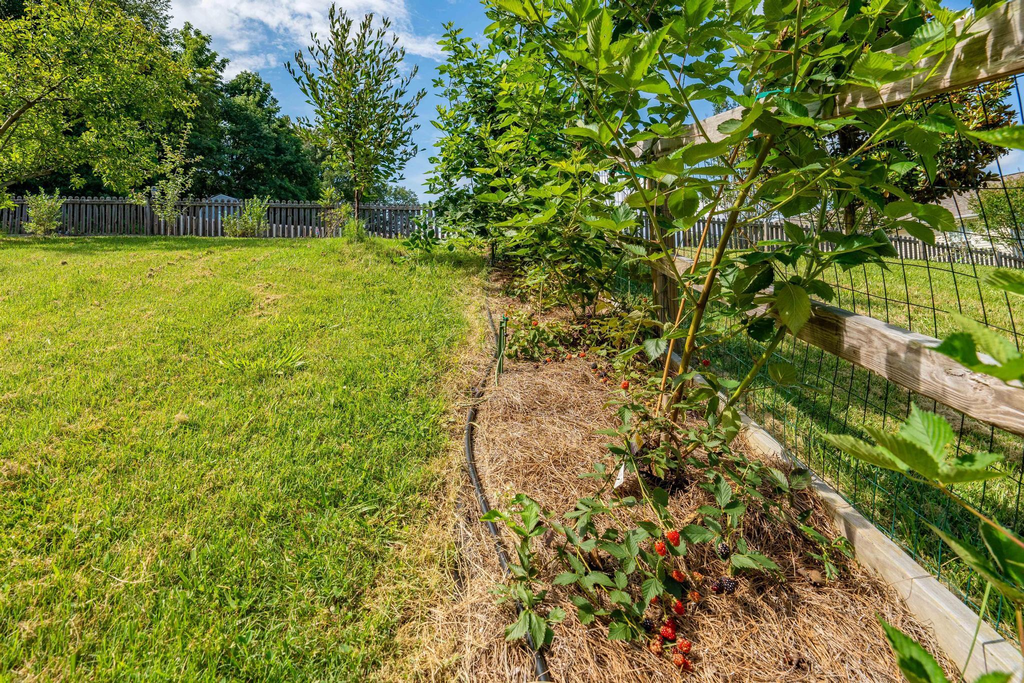 222 Maple Ridge Drive Jonesborough, TN 37659 - Photo 42 of 83 222 Maple Ridge Dr (54 of 97)