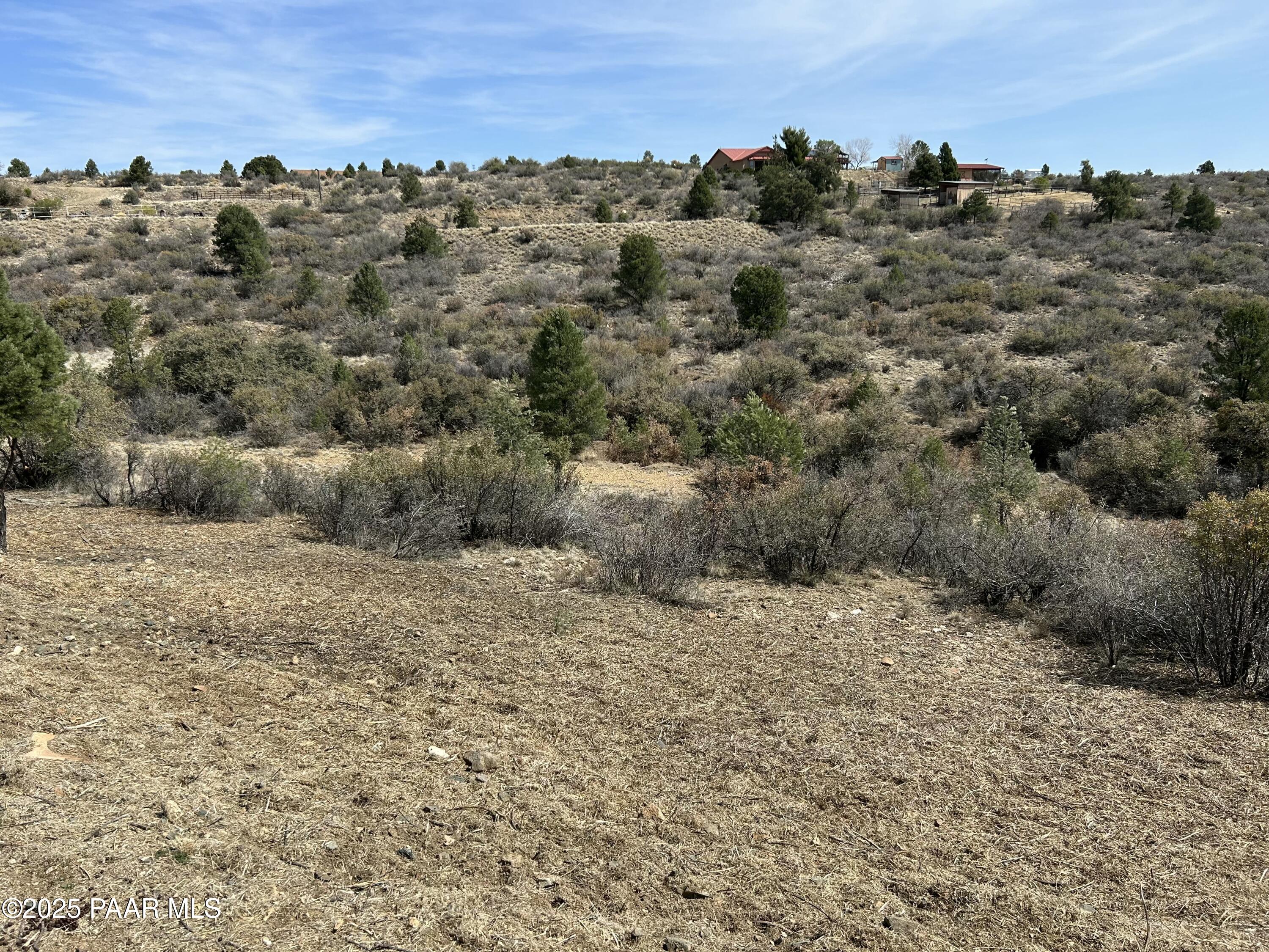 16776 Trap Road Peeples Valley, AZ 86332 - Photo 8 of 14 tempImageVaGUuU