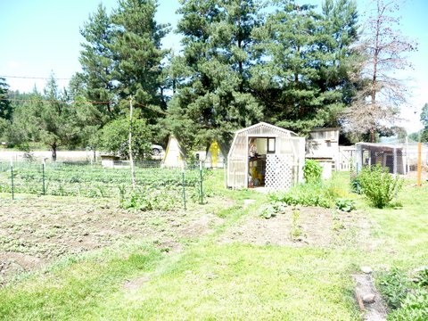 3675 Deer Creek Road Valley, WA 99181 - Photo 6 of 20 Gallery Image 6