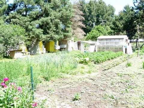 3675 Deer Creek Road Valley, WA 99181 - Photo 7 of 20 Gallery Image 7