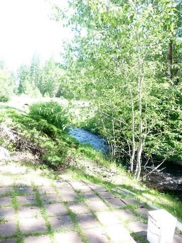 3675 Deer Creek Road Valley, WA 99181 - Photo 9 of 20 Gallery Image 9