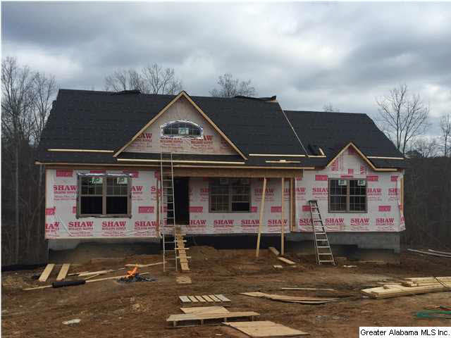 2501 Chelsea Way Warrior, AL 35180 - Photo 1 of 12