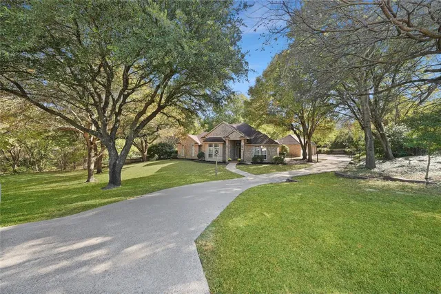 a view of a park with large trees