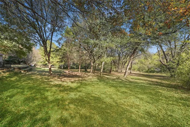 a view of yard with green space