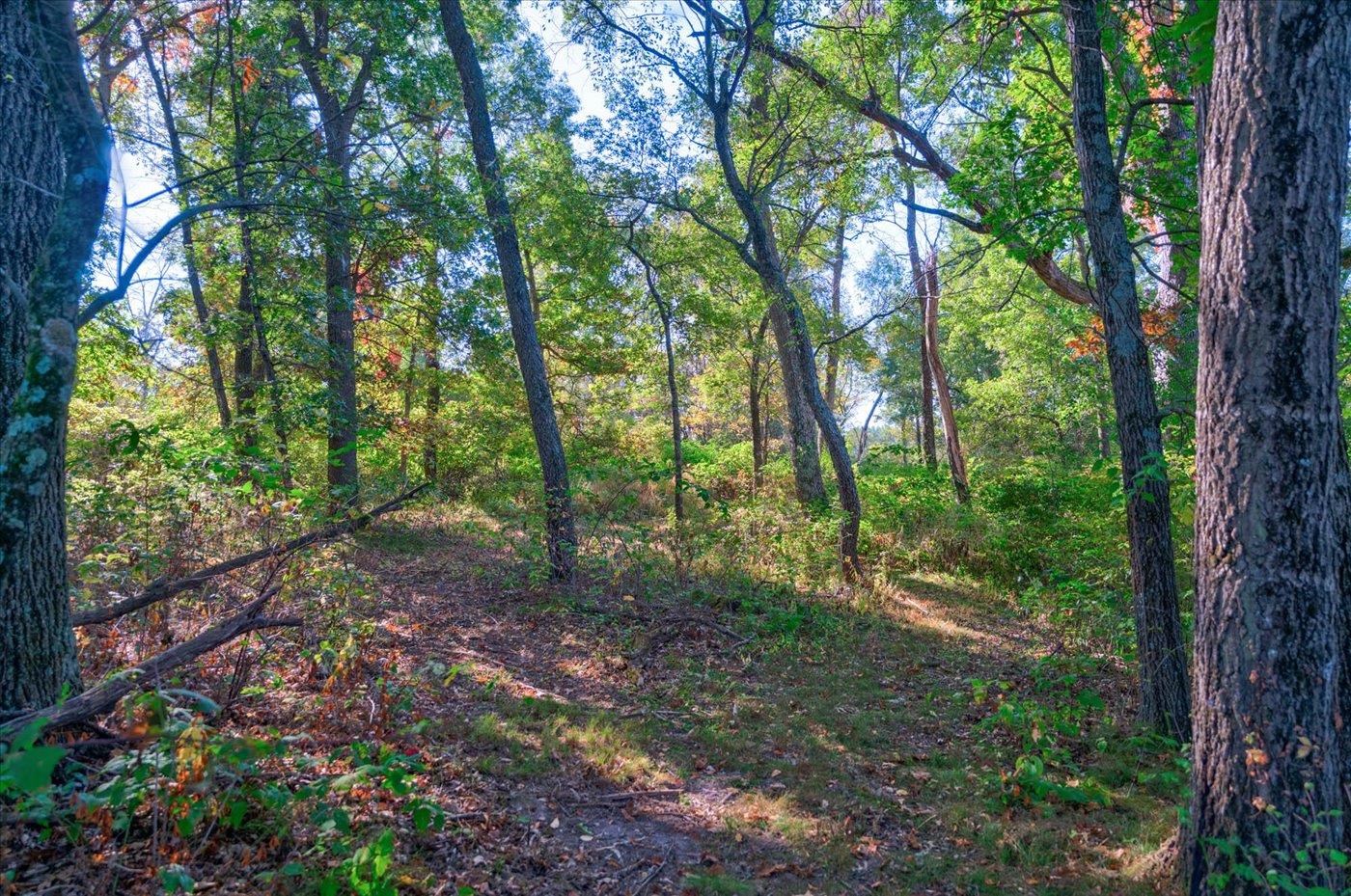 7857 Schaller Road Verona, WI 53593 - Photo 69 of 81