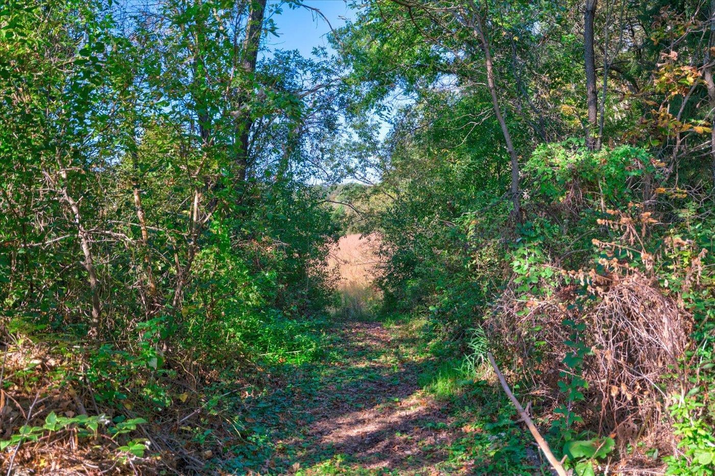 7857 Schaller Road Verona, WI 53593 - Photo 70 of 81